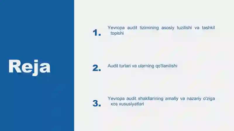 Yevropa audit tizimi 2