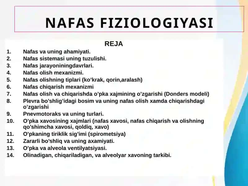 NAFAS FIZIOLOGIYASI 2