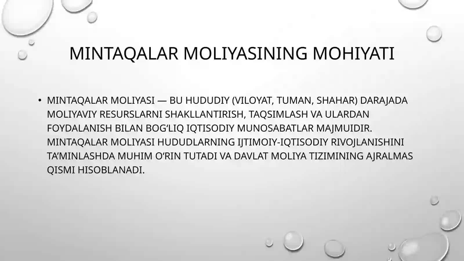 Mintaqalar moliyasining mohiyati 2