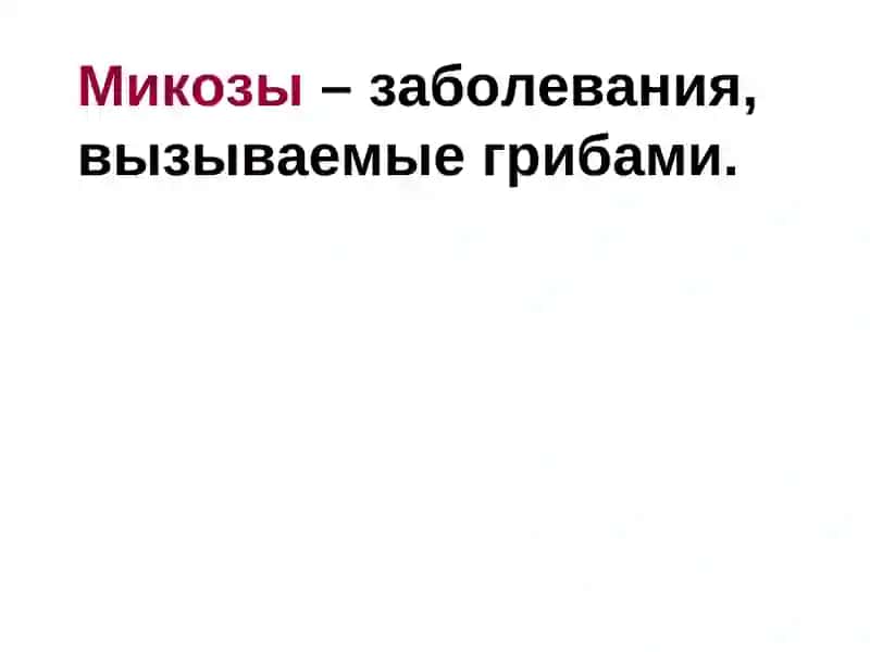 Возбудители микозов 2