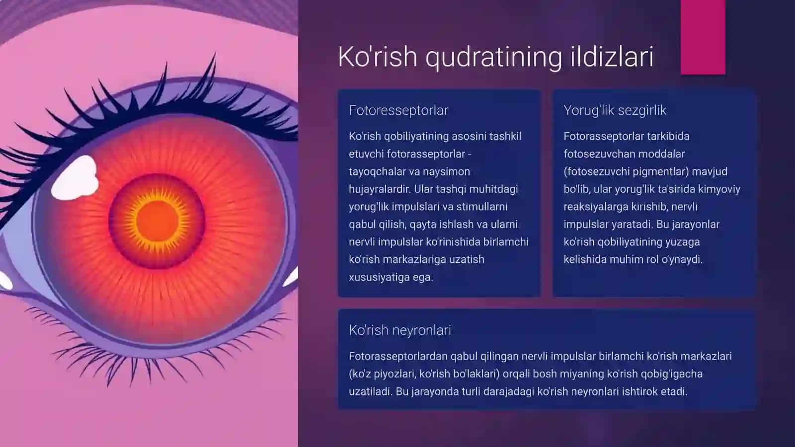 Fotoresepsiyaning morfologik asoslari 2