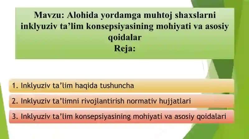 Alohida yordamga muhtoj shaxslarni inklyuziv ta’lim konsepsiyasining mohiyati va asosiy qoidalar 2