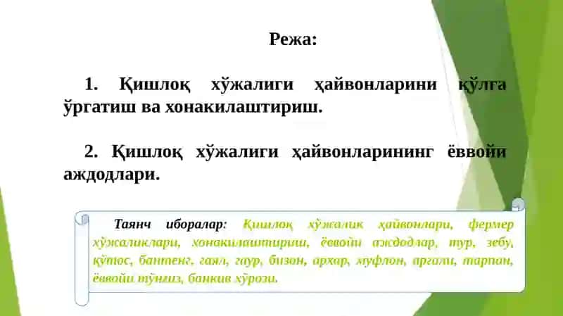 Эволюция таълимоти 2