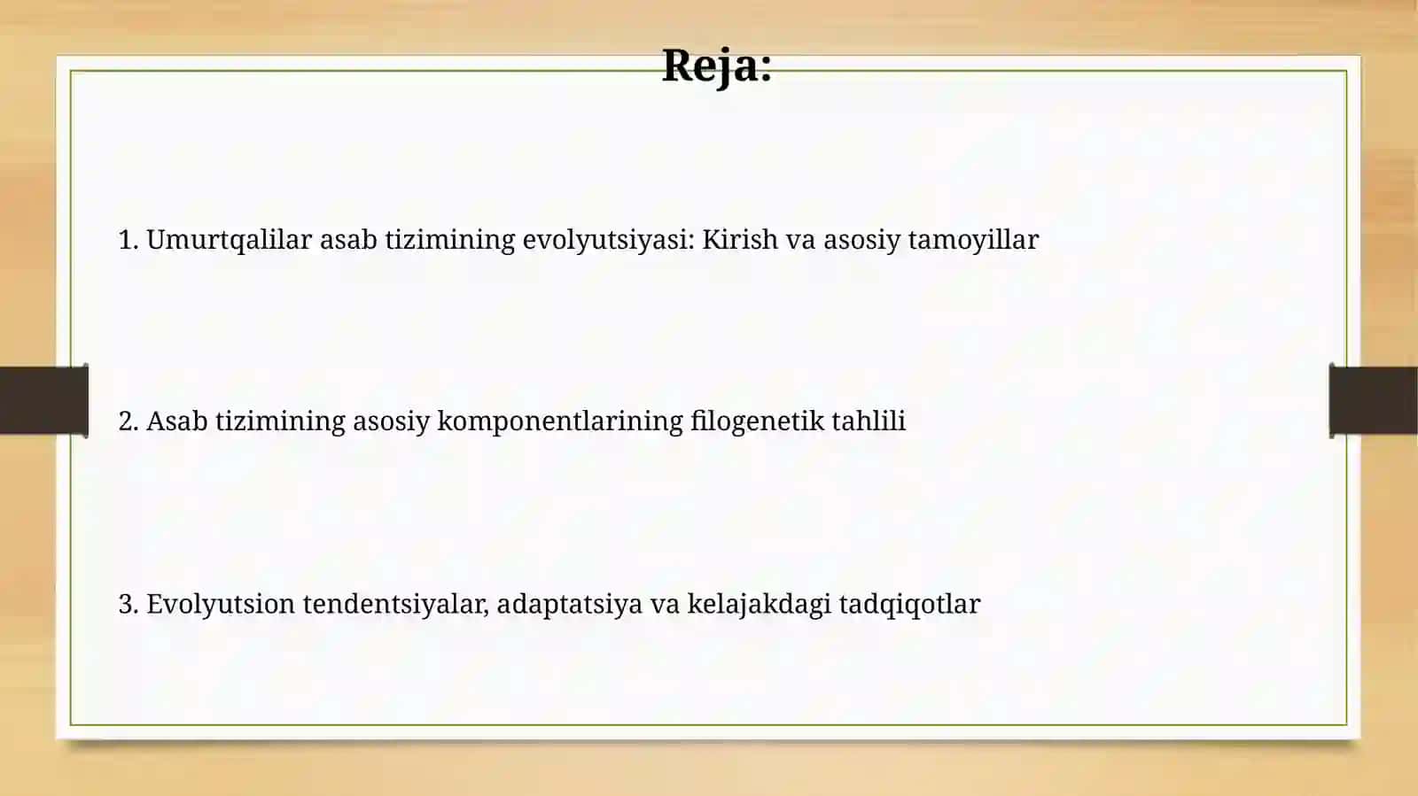 Umurtqali hayvonlarda nerv tizimi filogenezi 2