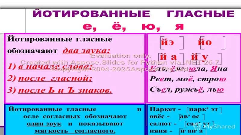 Правописание е, ë, ю, я и сочетаний йо, ьо 2