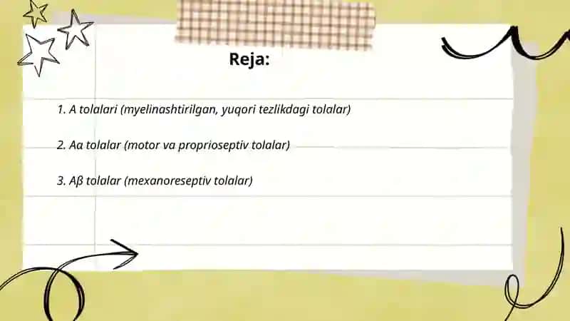 Nerv toqmasi neyronlar tolalar turlari 2