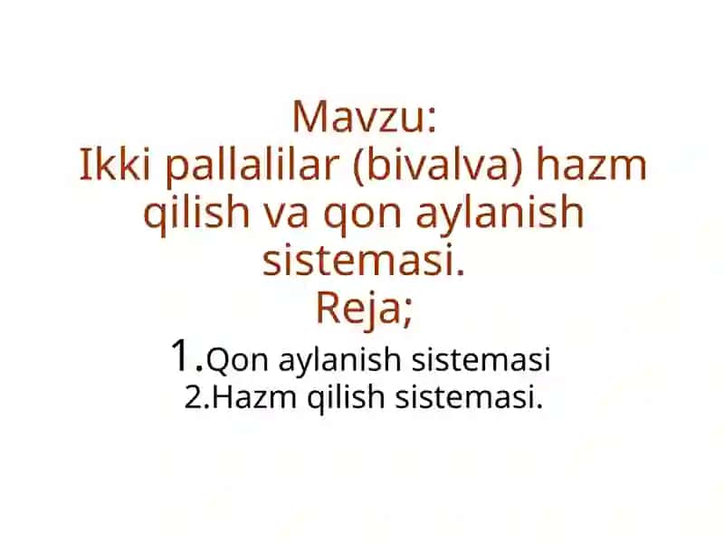 Ikkipallalilar (bivalva) hazm qilish va qon aylanish tizimasi 2