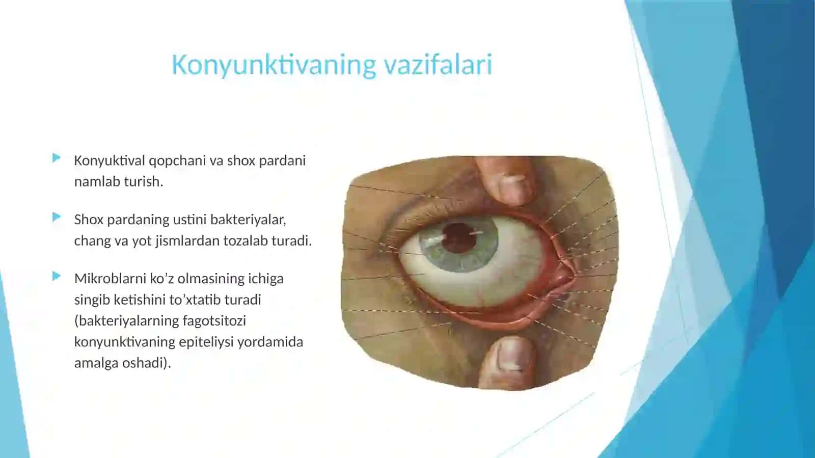 Kon'unktiva kasalliklari 2