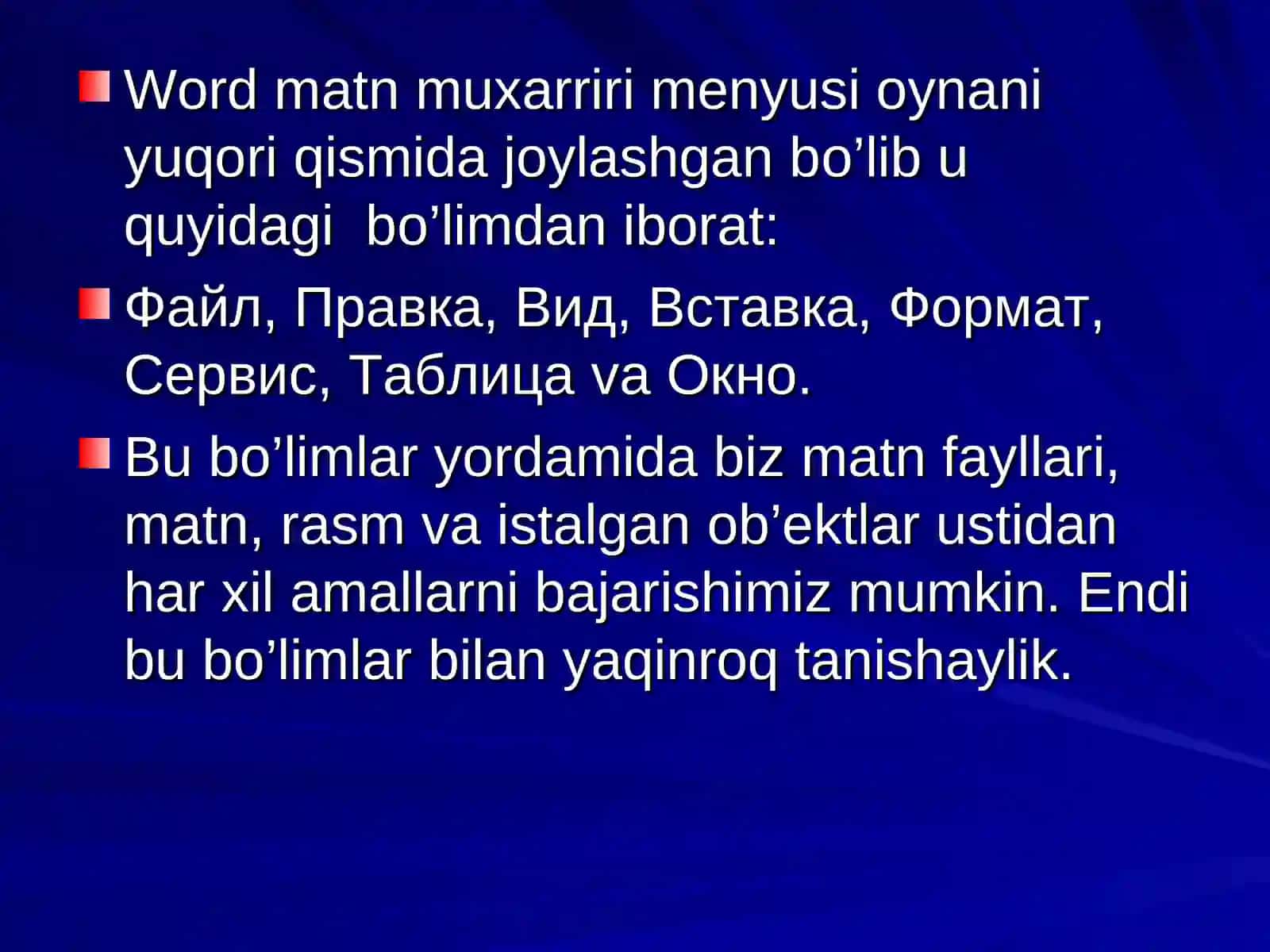 Microsoft Word dasturining menyu qatori 2