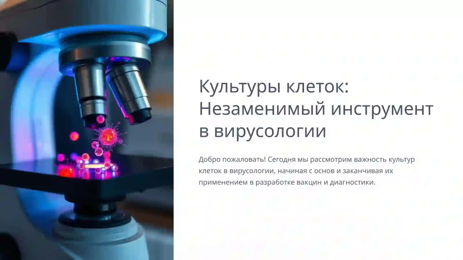 Культуры клеток: Незаменимый инструмент в вирусологии 2