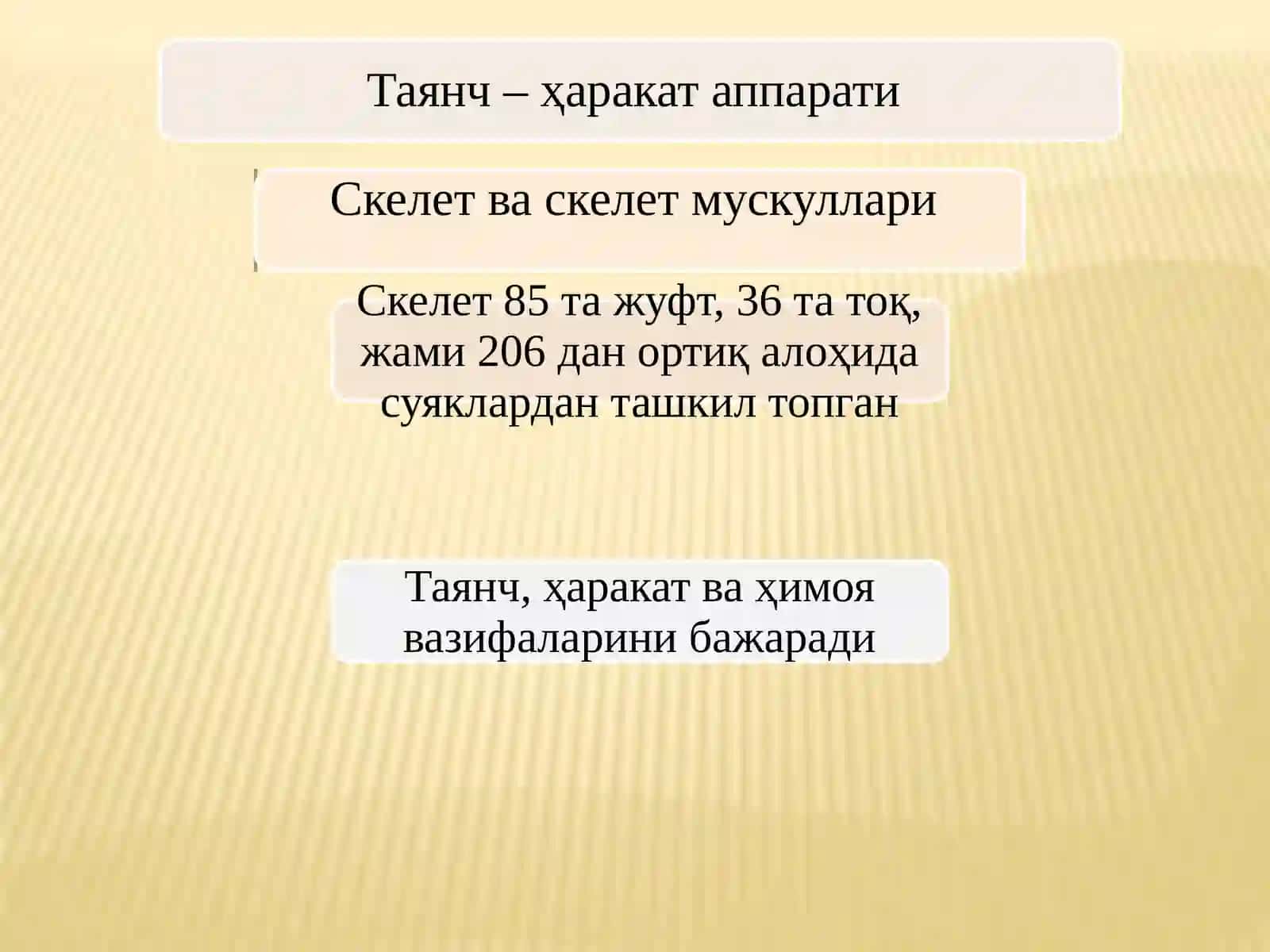 ТАЯНЧ – ҲАРАКАТ ТИЗИМИНИНГ ЁШ ХУСУСИЯТЛАРИ ВА ГИГИЕНАСИ 2