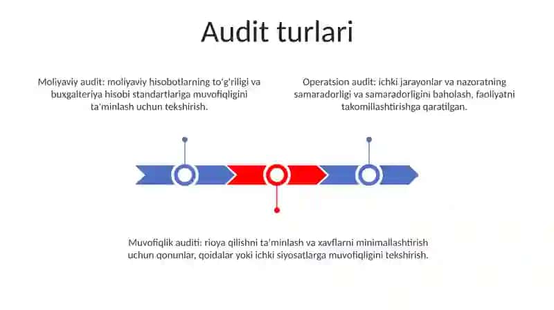 Auditorlik Tekshiruvi Turlari Va Shakillari 2