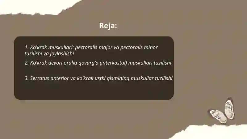 Ko’krak qorin muskullari tuzulishi Qo’l muskullaring tuzulishi Oyoq muskullaring tuzulishi 2