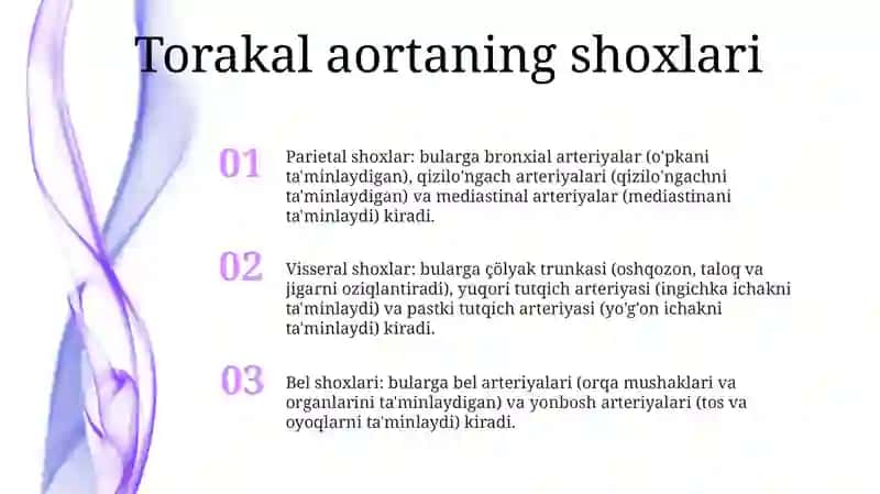 Ko'Krak Aortasi Va Qorin Aortasining Tarmoqlari 2