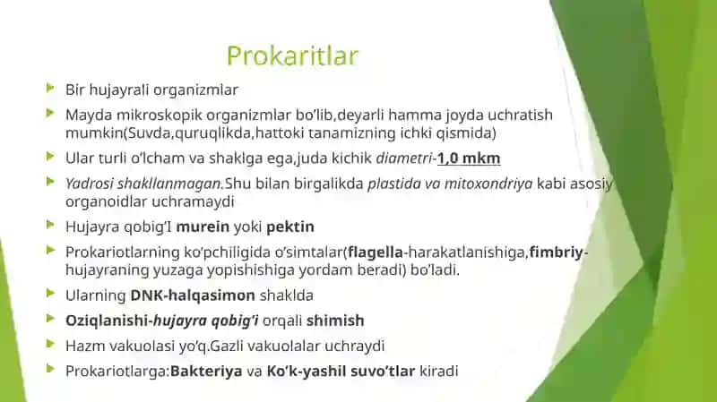 Prokariothujayralar 2