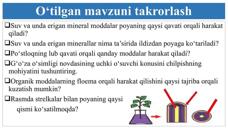 Organik moddalar hosil bo'lishi 2