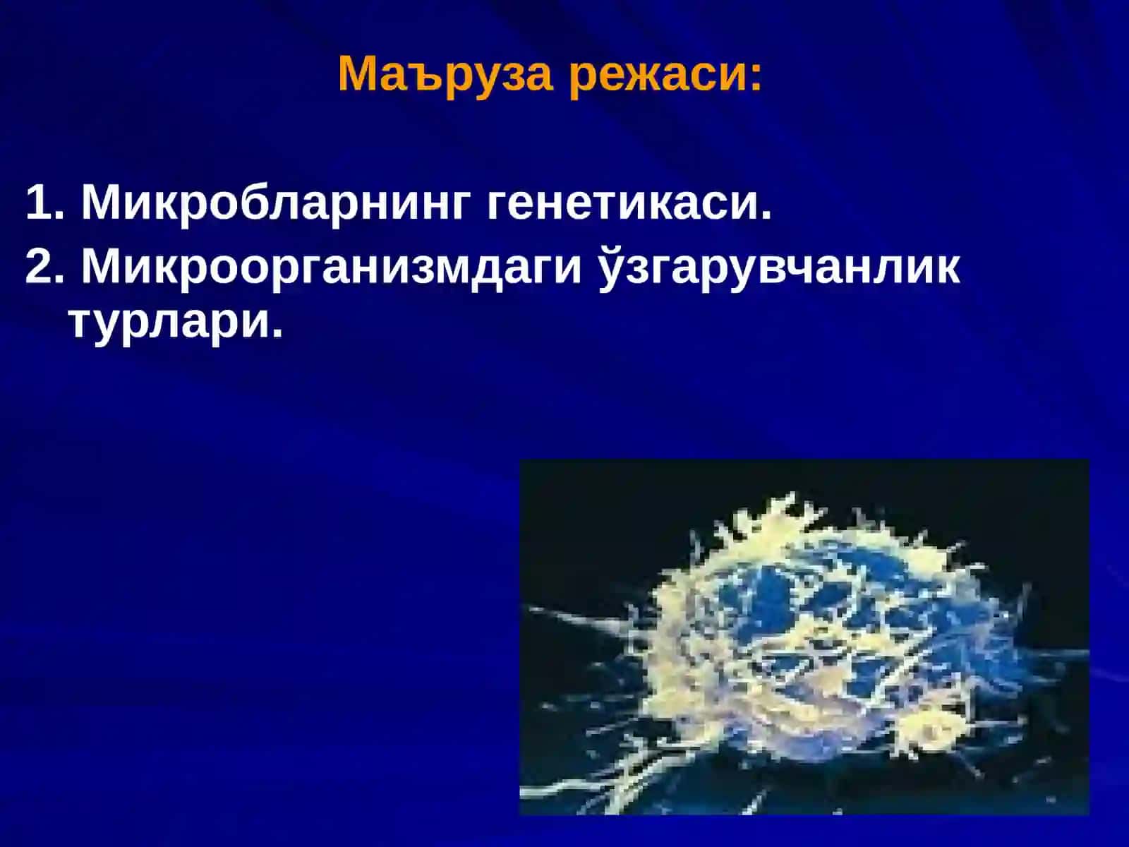 Микробларнинг ген мухндислигда коланиши 2