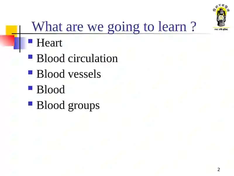 Circulatory system 2