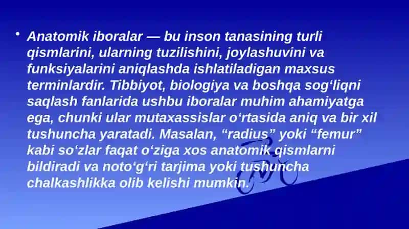 anatomik iboralarning tarjimasi 2