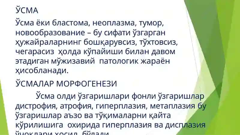 Kanserogen agentlar va ularning hujayralar bilan oʻzaro taʼsiri. Oʻsma immuniteti 2
