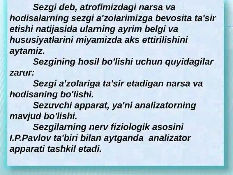 Sezgi 2