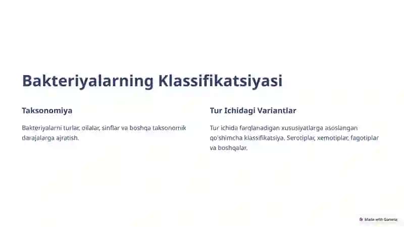 Bakteriyalarni Klassifikatsiyasi: Tur Ichidagi Variantlar 2