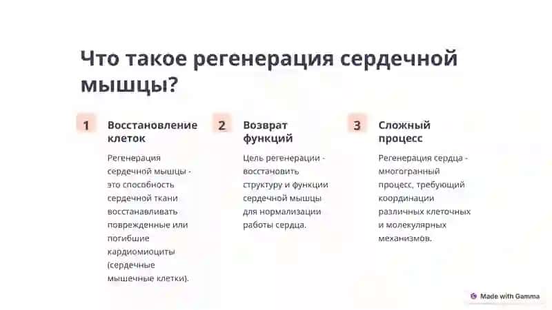 Регенерация сердечной мышцы 2