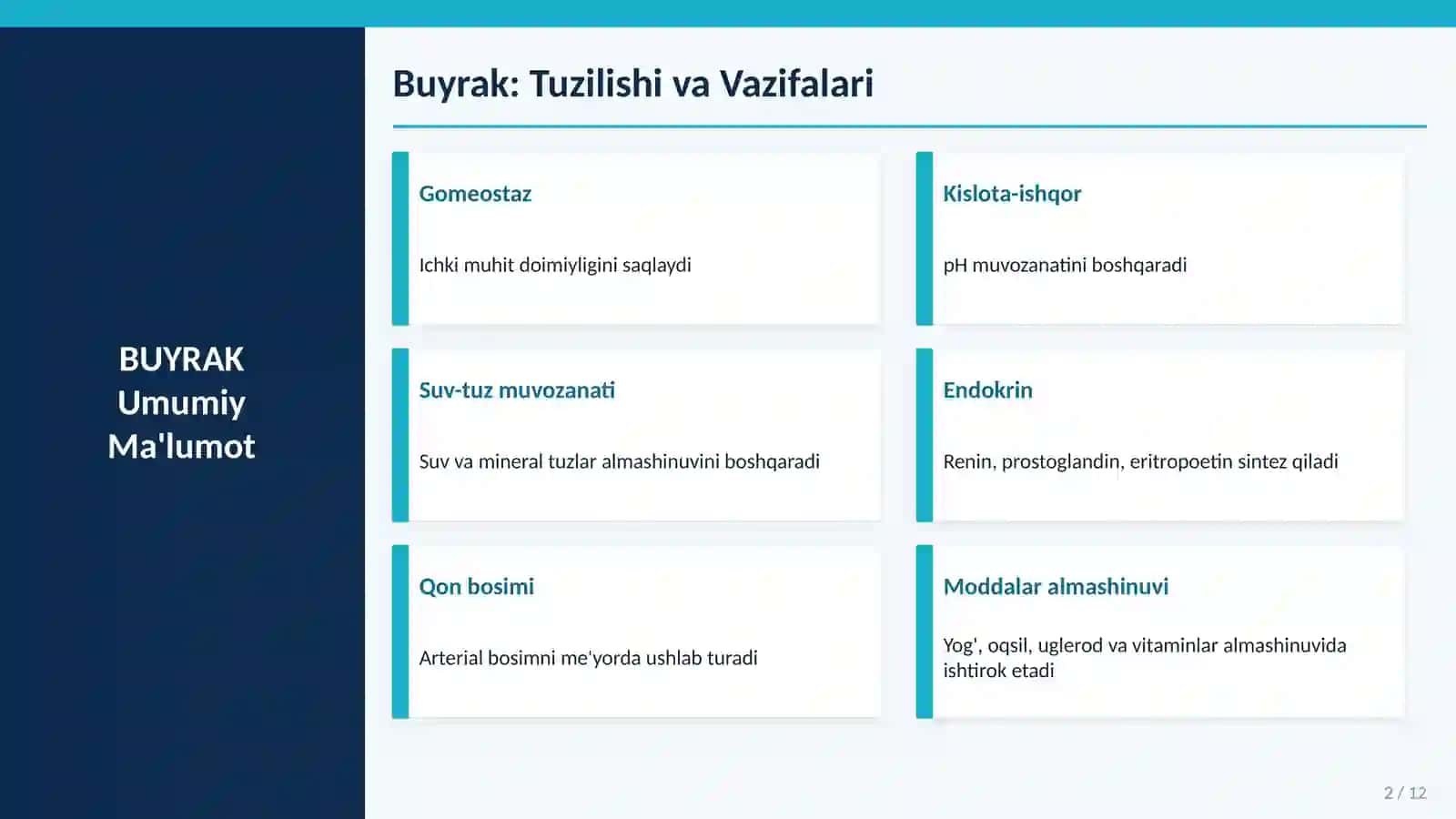 Buyrakning yukstaglomerulyar apparati sitofiziologiyasi.Nefronning gistofiziologiyasi.Buyraklar tuzilishi va regenerator imkoniyatlarining yoshga doir xususiyatlari 2