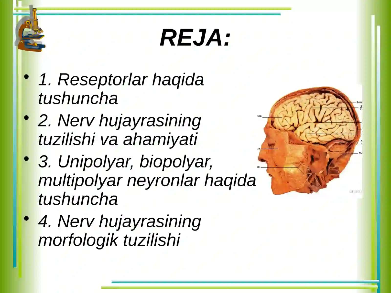 Nerv to`qimasi 2