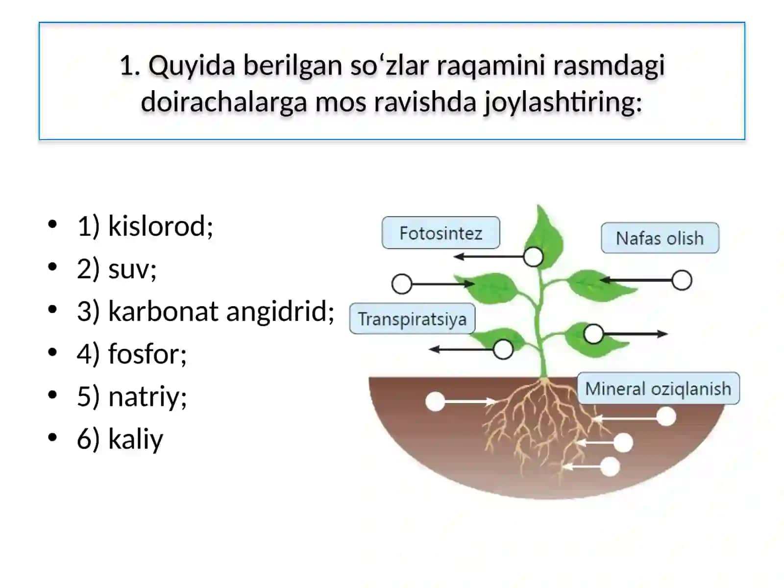 BOB YUZASIDAN MANTIQIY FIKRLASHGA DOIR TOPSHIRIQLAR 2
