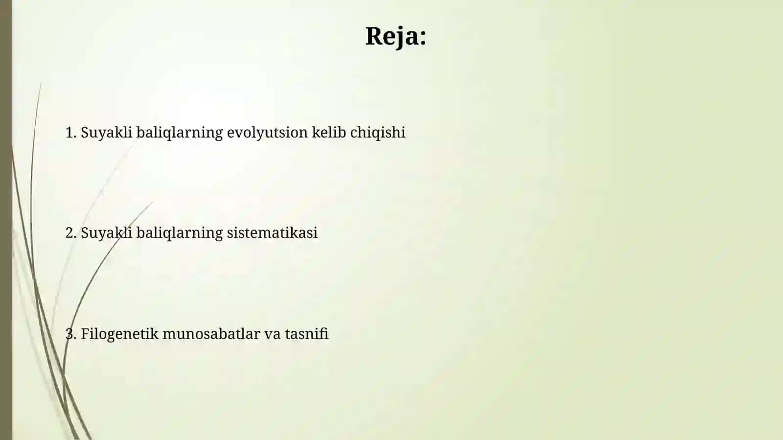 Suyakli baliqlar kelib chiqish evolyutsiyasi va sistematikasi 2
