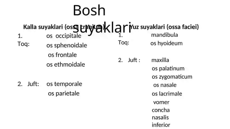 Ensas, peshonavatepasuyaklari 2