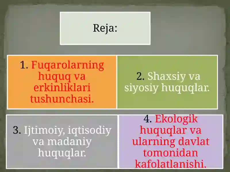 Fuqarolarning shaxsiy, siyosiy, ijtimoiy, iqtisodiy, madaniy va ekologik huquqlari 2