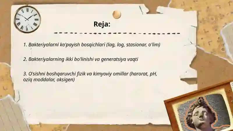 Bakteriyalarning ko'payishi, spora xosil qilishi va sistematikasi 2