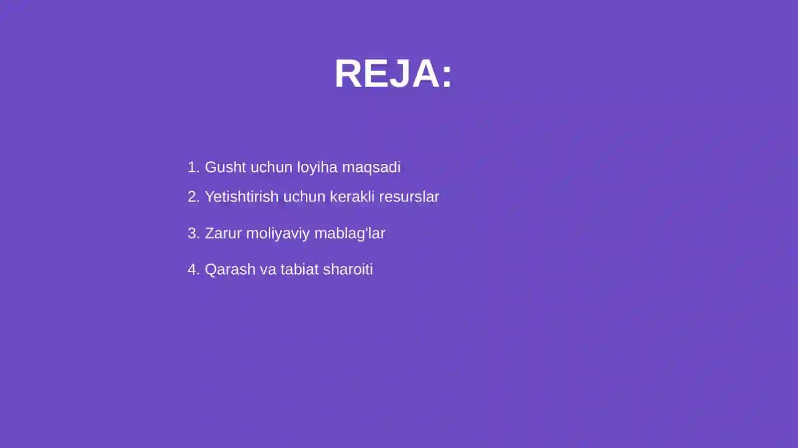 Gusht uchun 10 ta buqa yetshrish loihasi 2