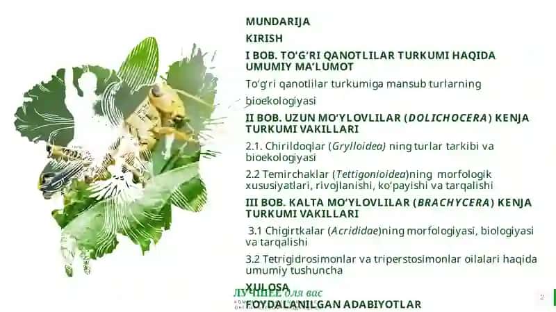 To‘g‘ri qanotlilar turkumi vakillari 2