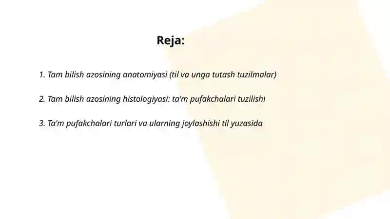 Ta'm bilish azolari anatomiyasi va histologiyasi 2