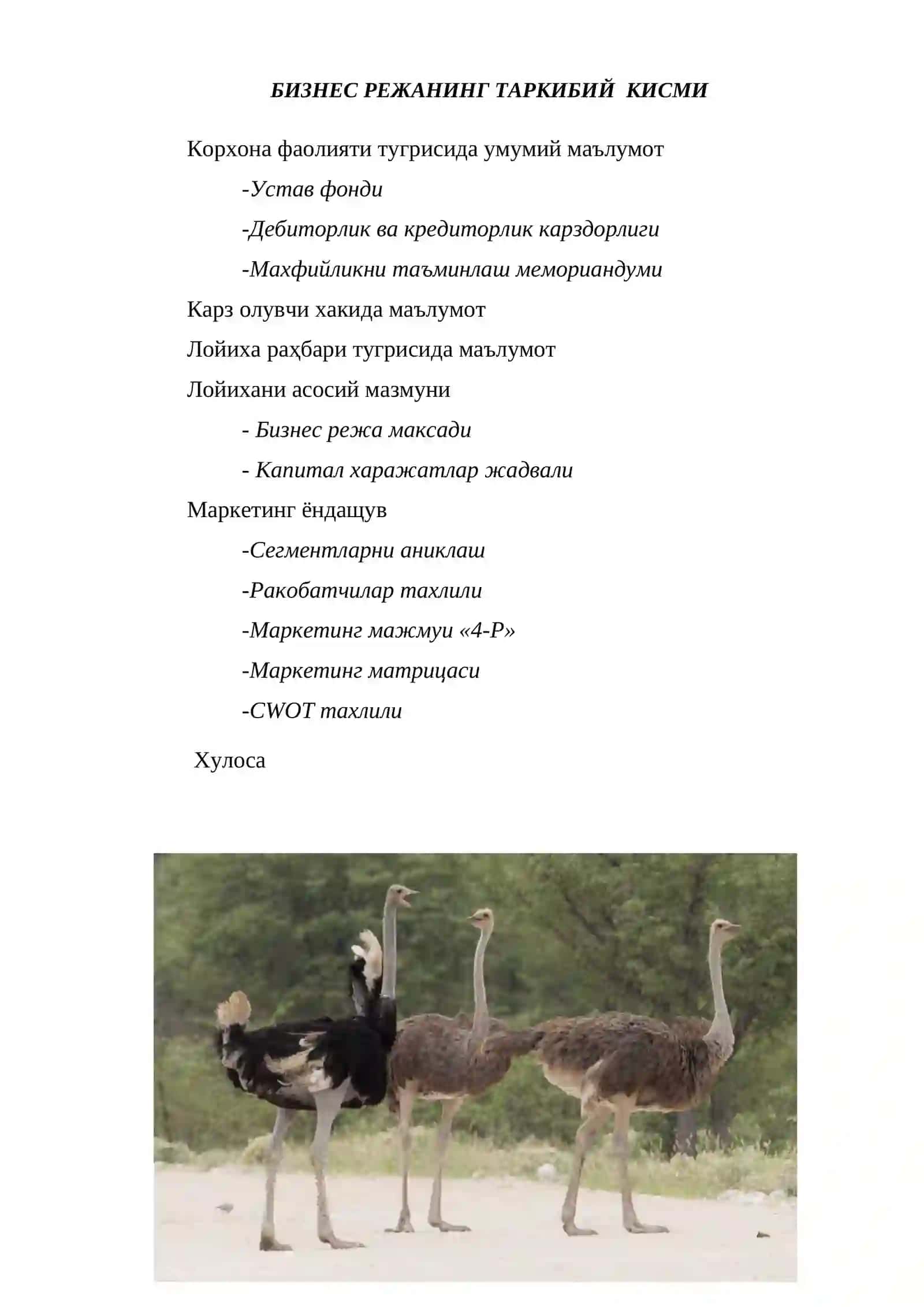 Tuyaqush biznes reja 2