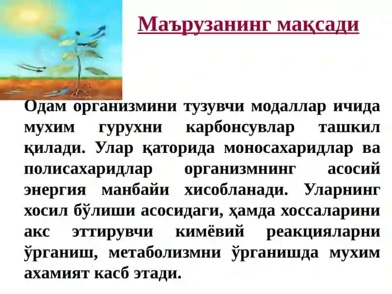 Карбонсувлар. Тузилиши ва хоссалари ва функциялари 2