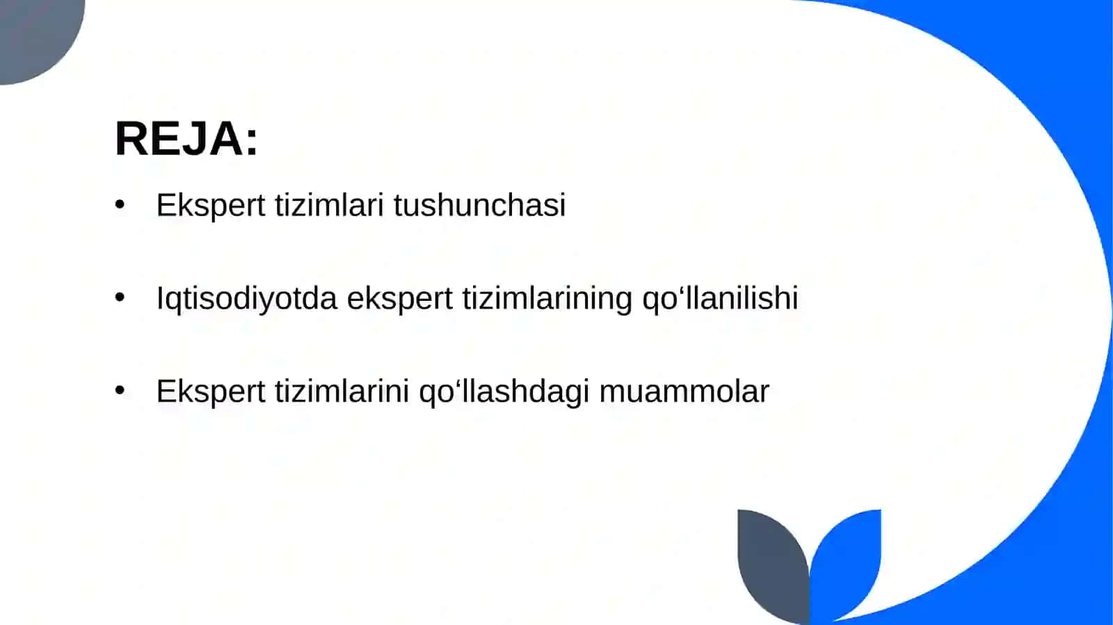 Ekspert tizimlari va ularning kullash muammolari 2