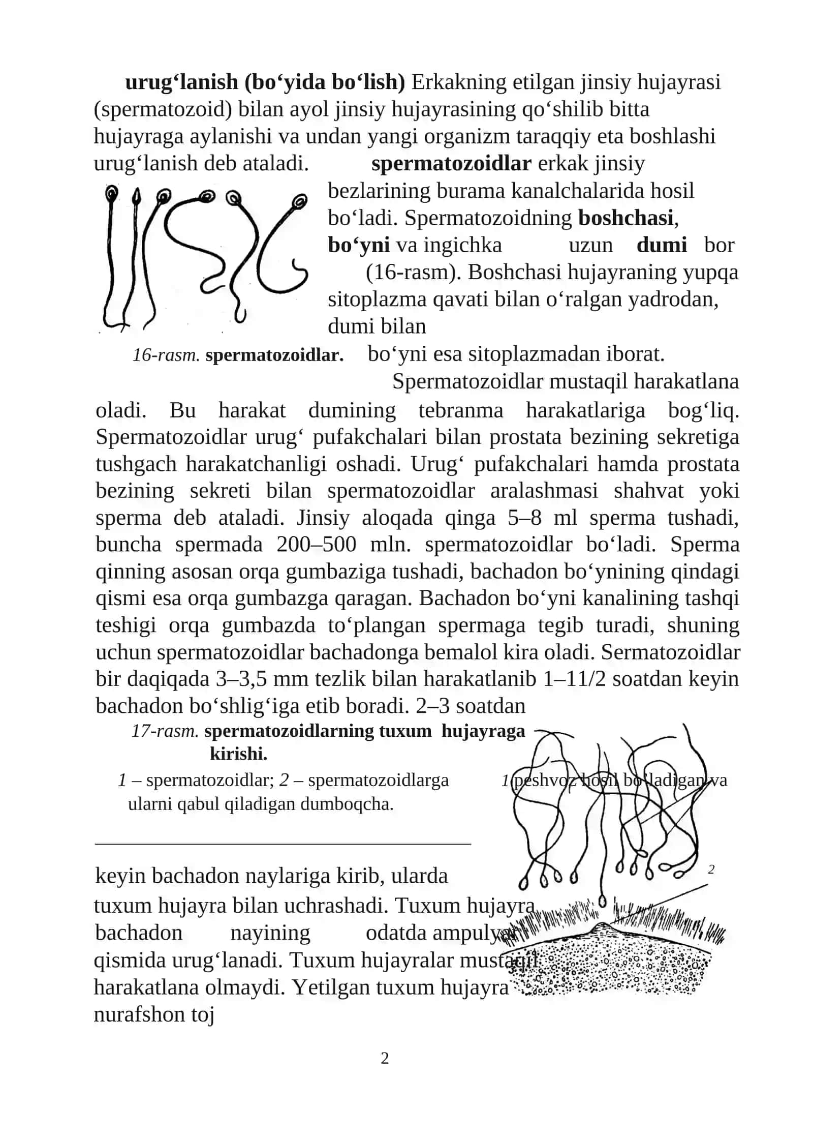 Homiladorlik davrida hamshiralik parvarishi homiladorlik fiziologiyasi 2
