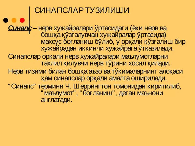 Sinapslar fiziologoyasi 2