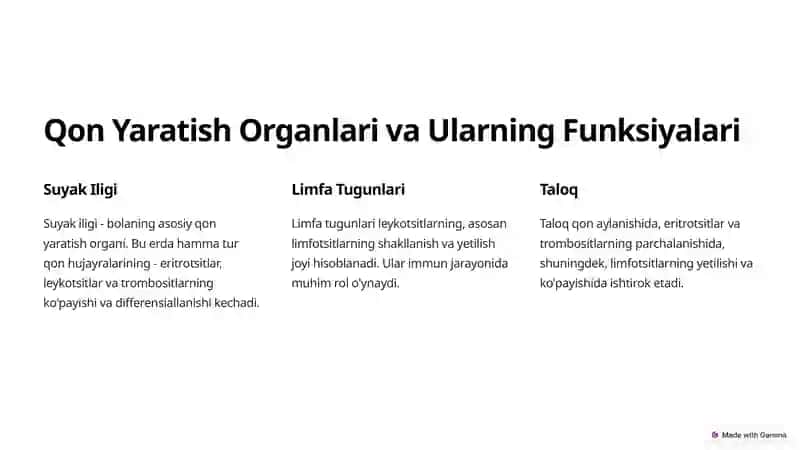 Qon Yaratish Organlari va Ularning Funksiyalari 2