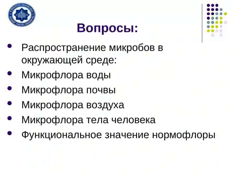Экология микроорганизмов 2