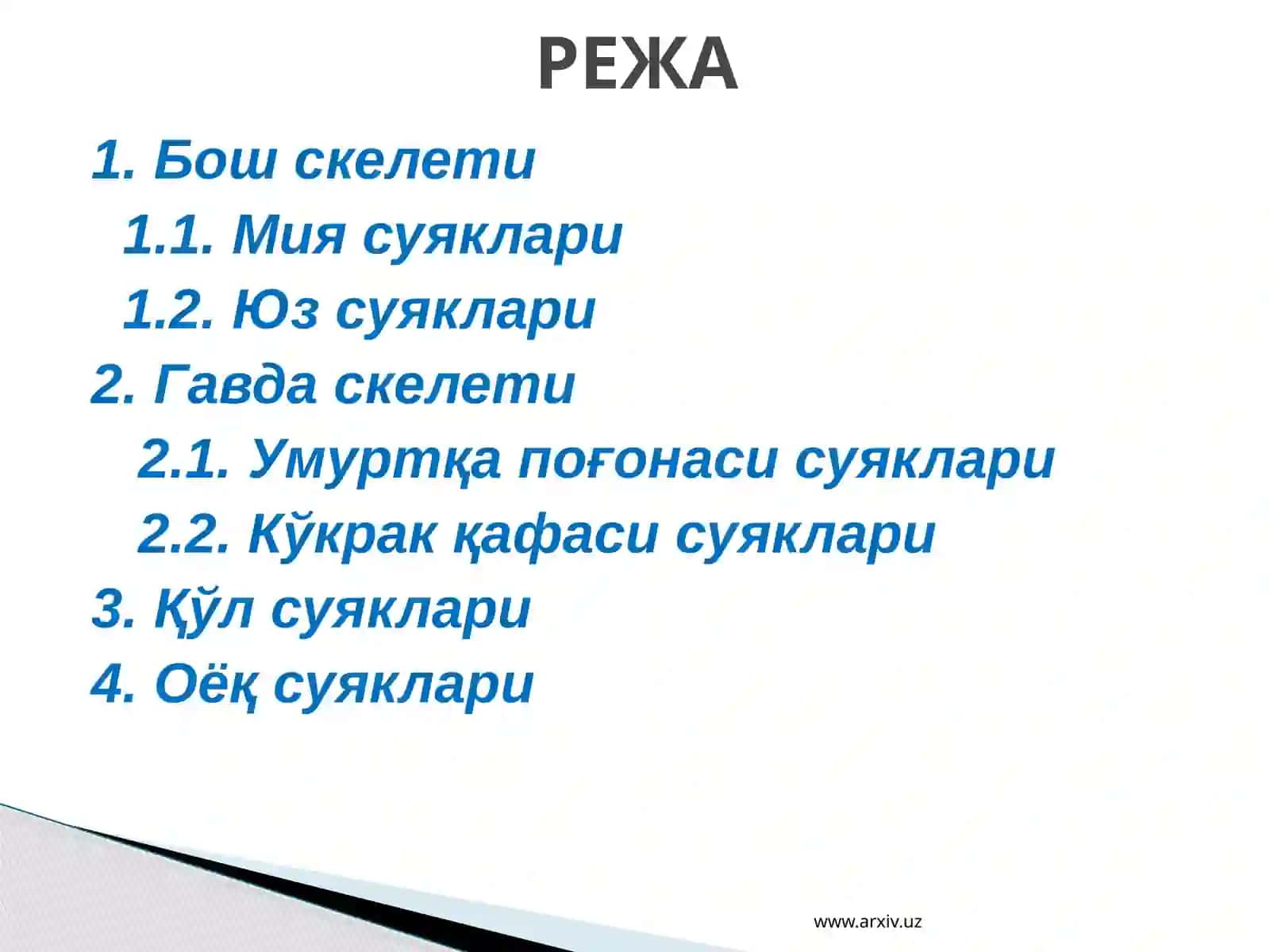 Бош, гавда ва қўл-оёқлар скелети 2
