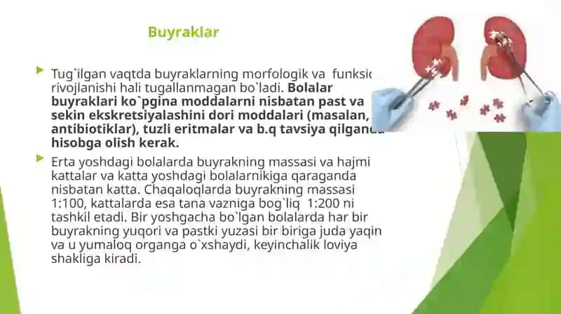 BOLALARDA SIYDIK AYIRISH SISTEMASI ANATOMO FIZIOLOGIK XUSUSIYATI 2