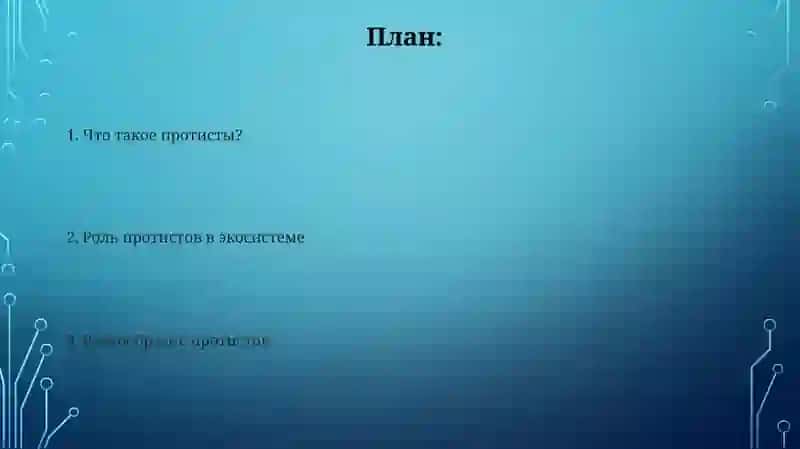 Protista 2