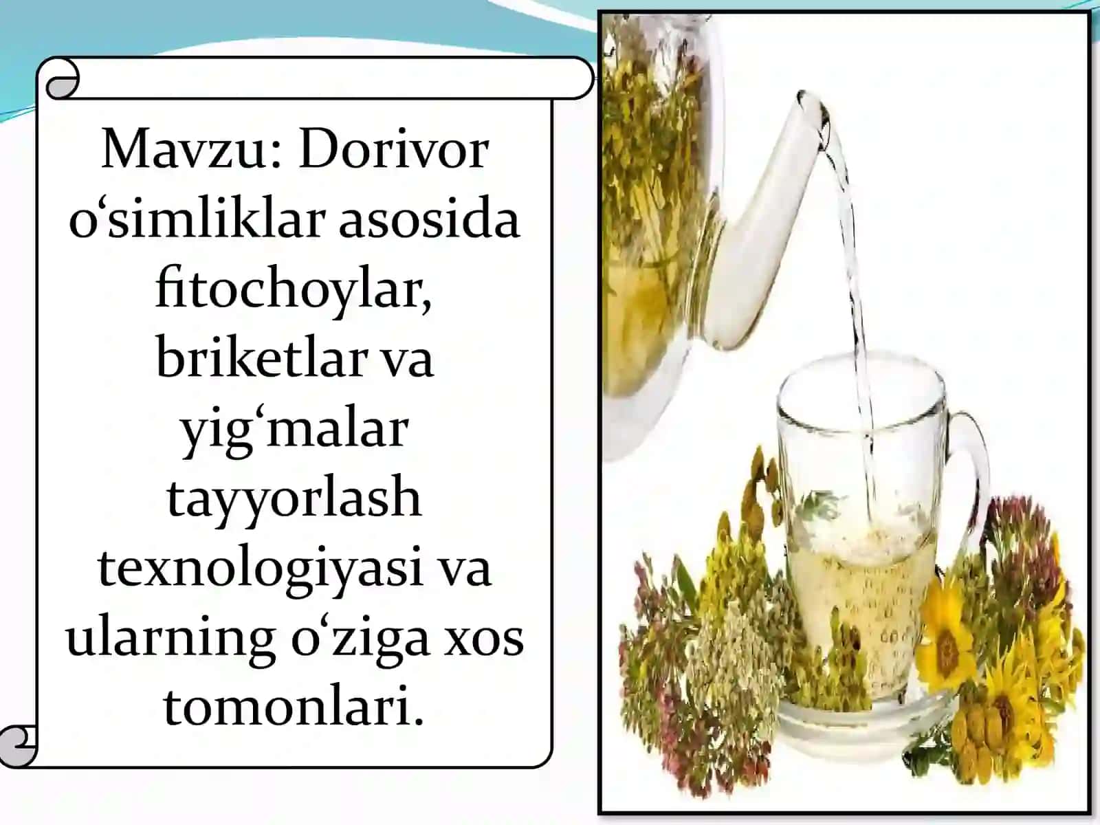 Fitopreparatlar nazorati 2