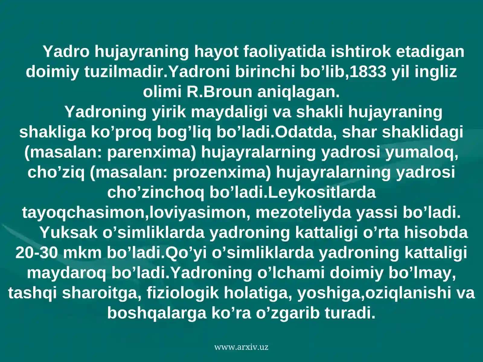 Yadrocha 2