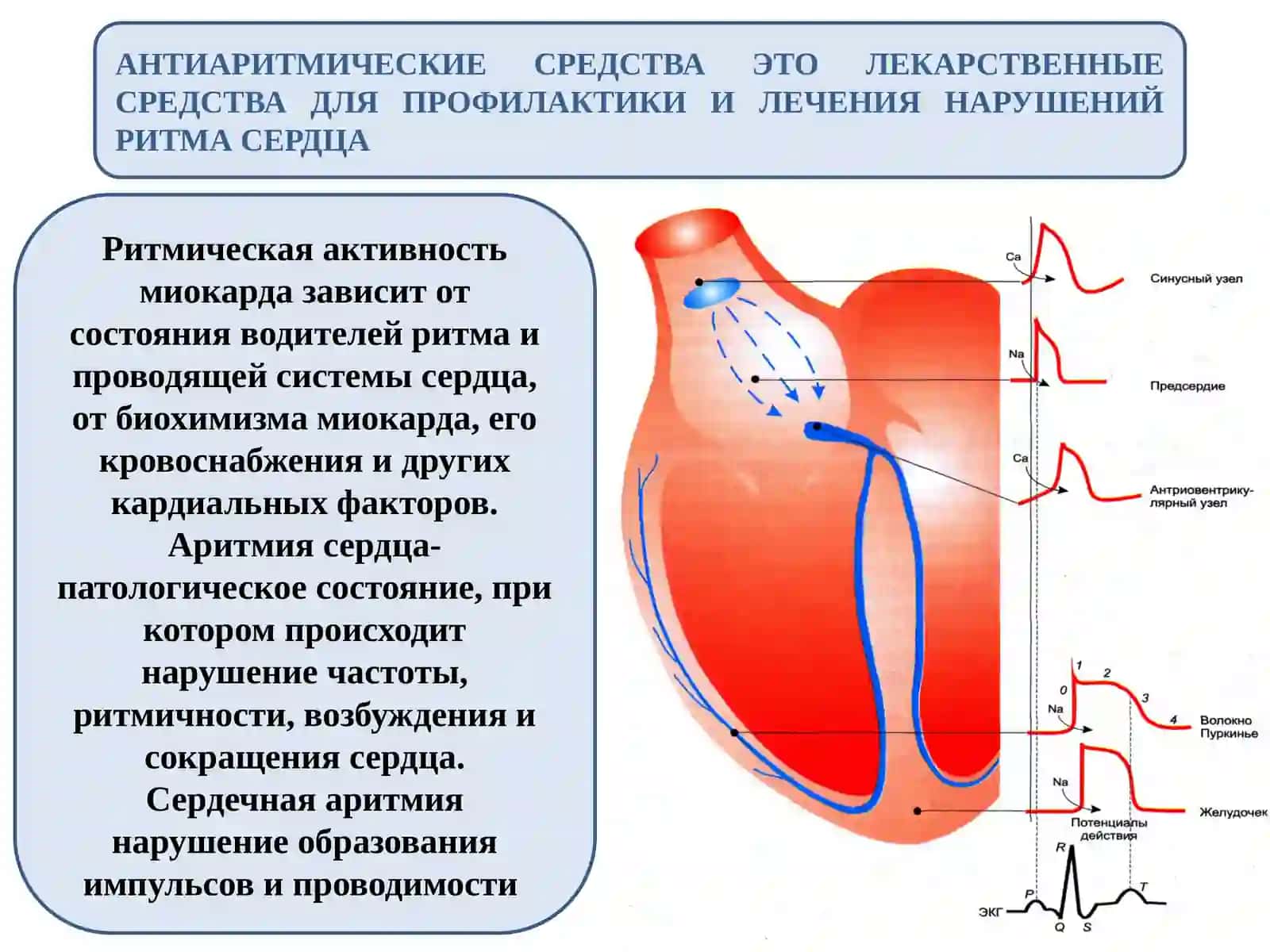 ПРОТИВО АРИТМИЧЕСКИЕ СРЕДСТВА 2